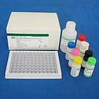 原装鸡硫酸类肝素(HS)现货ELISA Kit试剂盒