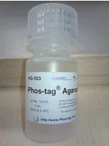 Phos-tag™ 琼脂糖Agarose