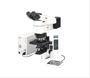 BX61显微镜