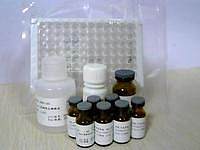 原装现货绵羊促性腺激素释放激素（GnRH）ELISA Kit促销