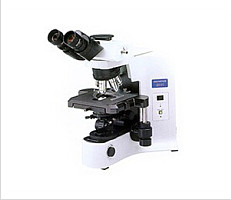BX41显微镜