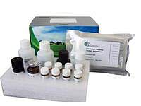现货供应鹿胰岛素样生长因子结合蛋白3免费代测(IGFBP-3)ELISA Kit试剂盒报价