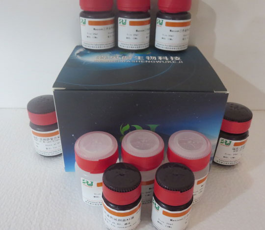 碘化丙啶PI染色液(50ug/ml,含RNase)
