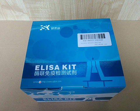 人血管紧张素Ⅱ(ANG-Ⅱ)ELISA 试剂盒