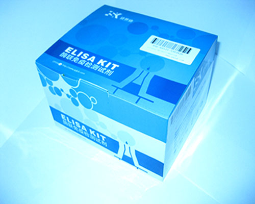 人β-促脂素(β-LPH)ELISA 试剂盒