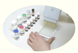 原装现货人血管紧张素Ⅱ进口报价(ANG-Ⅱ)ELISA Kit特价促销，试剂盒价格