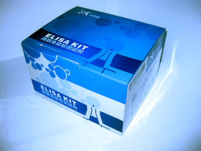 人雷帕霉素靶蛋白(mTOR)ELISA 试剂盒