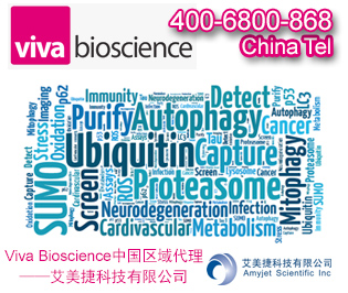 VIVAbind 泛素化蛋白含量检测试剂盒 | VIVAbind ubiquitin kit