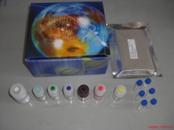 免费代测人心钠肽原装进口(ANP)ELISA Kit现货促销，试剂盒价格