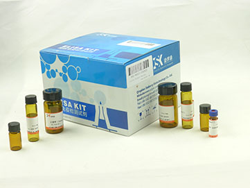 小鼠钙通道阻滞剂(CCB)ELISA试剂盒