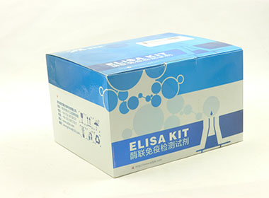 人睾酮(T)Elisa试剂盒
