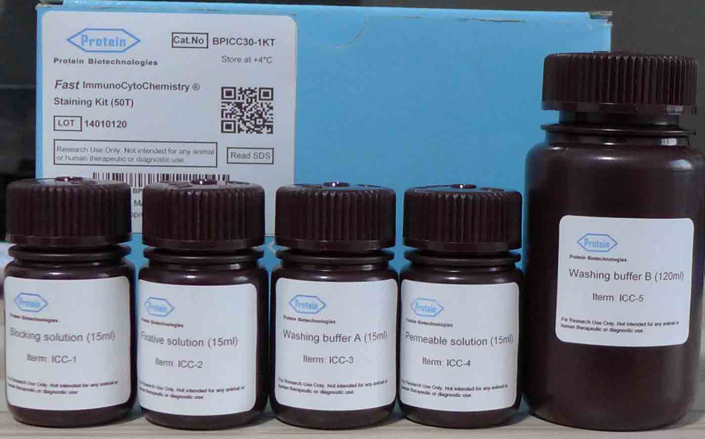 快速免疫细胞化学染色试剂盒（BPICC30)