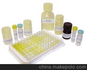 现货促销人糖皮质激素受体α北京供应(GR-α)ELISA Kit免费代测，进口报价
