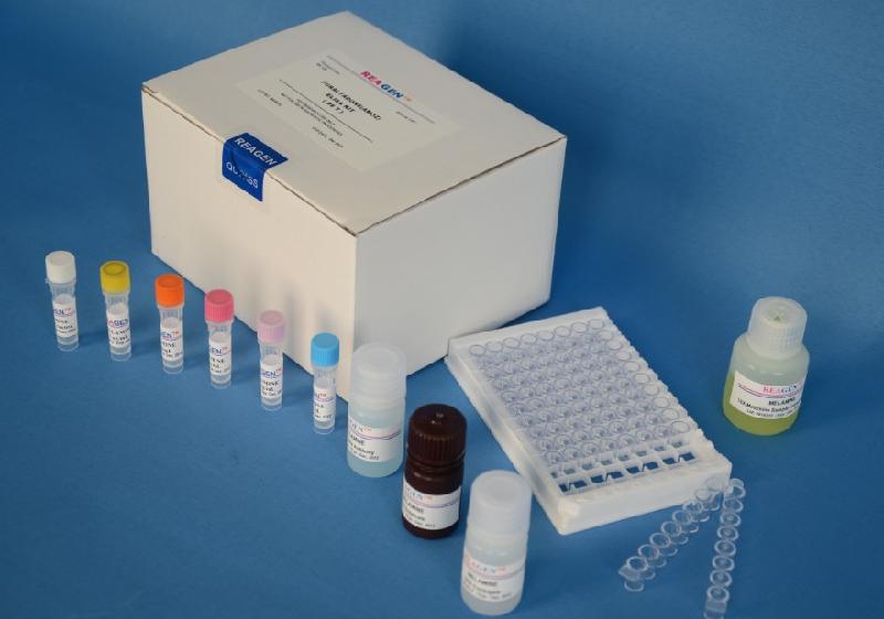 原装现货人α1抗胰蛋白酶进口报价(α1-AT)ELISA Kit免费代测