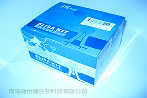 小鼠可溶性CD86(B7-2/sCD86)ELISA试剂盒||定量