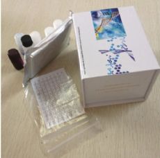 现货促销小鼠铜蓝蛋白原装进口(CP/CER)ELISA Kit试剂盒报价