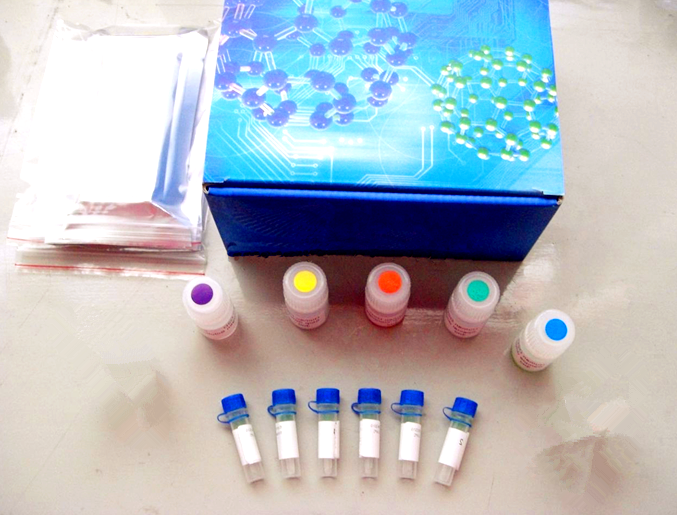 Yeast Plasmid Kit (5)（Omega 质粒抽提试剂盒）