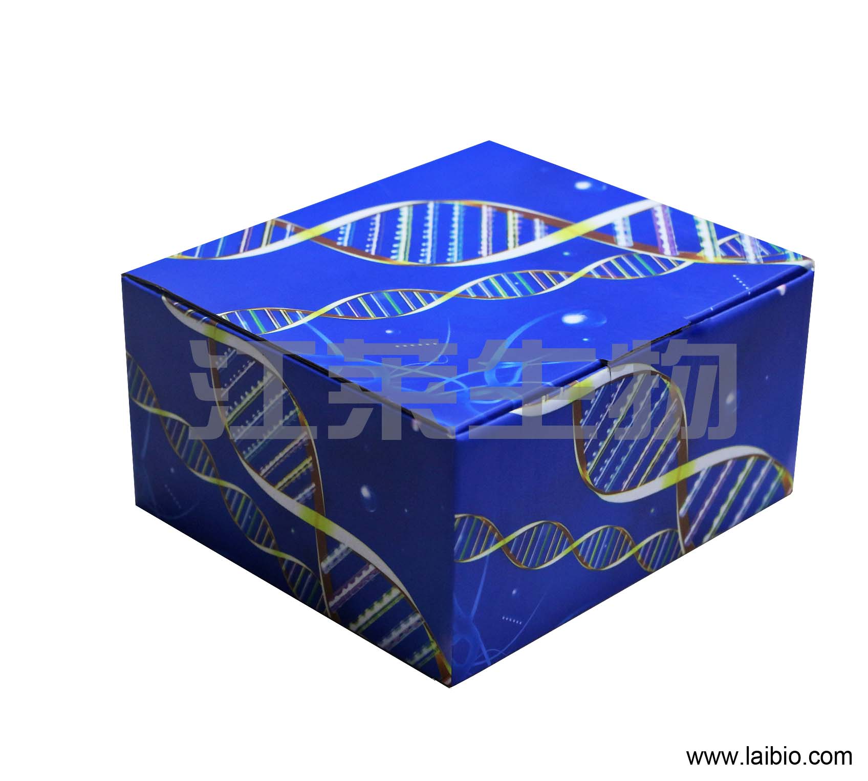 人1-磷酸鞘氨醇(S1P)ELISA试剂盒