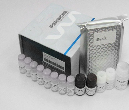 HP Plasmid DNA Maxi Kit(5)（Omega 质粒抽提试剂盒）