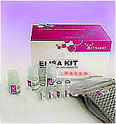 Endo-free Plasmid Mini Kit II(200)（Omega 质粒抽提试剂盒）