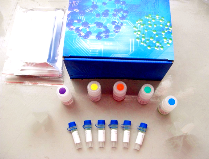 Ultra-Sep Gel Extraction Kit（500）（Omega DNA/RNA纯化） 