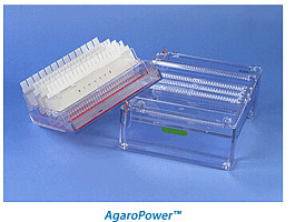 AgaroPower™电泳仪