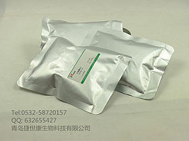 Von Ebener's液|500ml