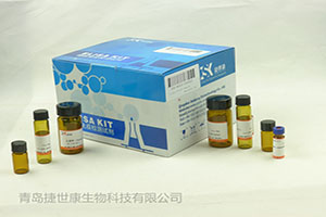 人嗜酸粒细胞趋化蛋白Eotaxin 1(Eotaxin 1/CCL11)ELISA试剂盒标签