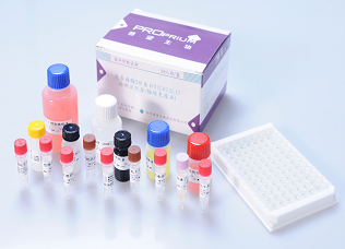 肝硬化诊断新标准-壳多糖酶3样蛋白1（CHI3L1）检测试剂盒