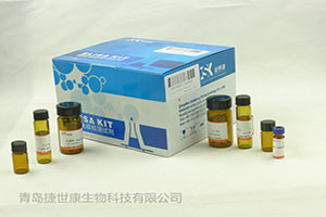 人多巴胺D2受体(D2R)ELISA试剂盒夹心法