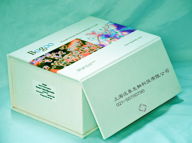 Magsi Tissue DNA Kit （50） （Omega 总RNA抽提试剂盒系裂）