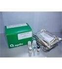 M5635-02Mag-Bind Soil DNA Kit(200)(基因组DNA抽提试剂盒系列)