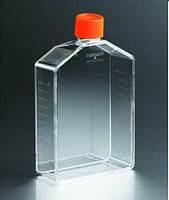 供应 康宁/corning 150cm2（正方斜口）细胞培养瓶