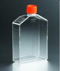 康宁 原装  透气盖细胞培养瓶  特价，促销