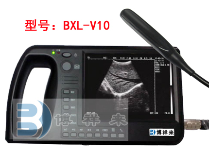 便携式牛用B超BXL-V10