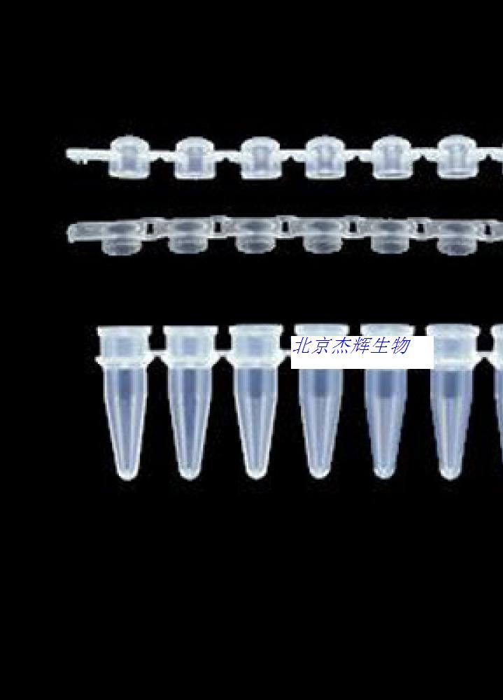 进口 PCR管(离心管）特价 Axygen 现货