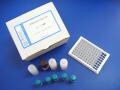 R6734-02DNARNAProtein Kit(200)(总RNA抽提试剂盒系裂)