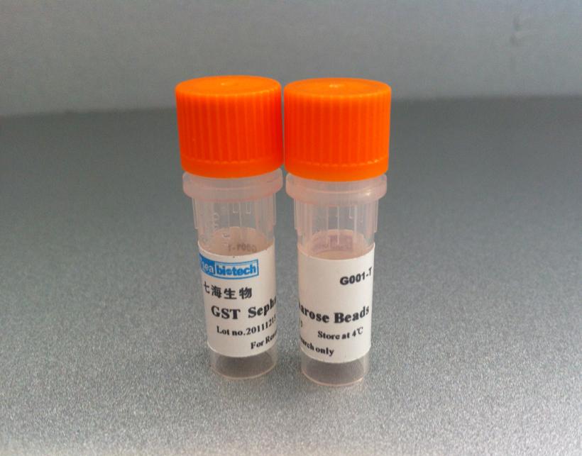 PCR防污染用酶 Uracil-DNA glycosylase（UNG酶）