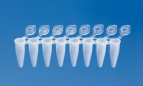 PCR-tube strips of 8, PP, attached transparent single caps, 0,2 ml, Standard, white tubes