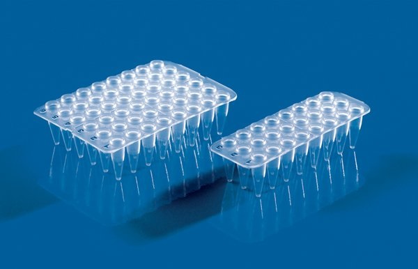 48孔PCR板，无裙边，PP材质，白色，0.2 ml，用于qPCR