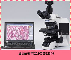 奥林巴斯研究级显微镜BX53