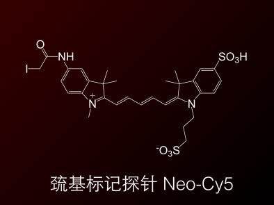  Neo-Cy5; 巯基标记探针; 碘乙酰胺 Cy5; Cy5 Idoacetamide
