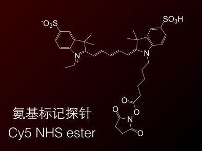  CY5-NHS酯 Cy5 NHS ester Cy5-N-羟基琥珀酰亚胺酯5
