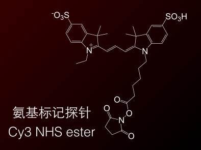 CY3-NHS酯 Cy3 NHS ester Cy3-N-羟基琥珀酰亚胺酯