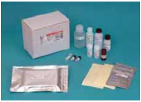 Human CETP ELISA Kit Wako