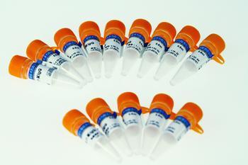 A型人流感病毒H1N1-M2蛋白多肽