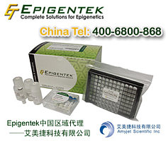 Epigentek组蛋白检测分析试剂盒