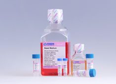 Balb/c小鼠骨髓间质干细胞成骨诱导分化培养基