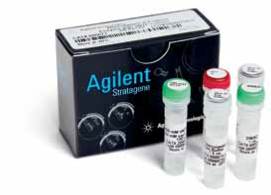 高GC，高抑制物及难扩增模板的PCR试剂