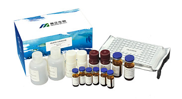 呋喃西林代谢物ELISA检测试剂盒